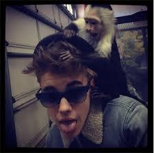 We, Portuguese Beliebers, support OG Mally in Portugal. Follow us if you are a PORTUGUESE BELIEBER!