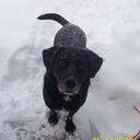 mckenzie burns - @mckenziexodance - Twitter