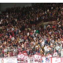 UMass-Amherst Alum