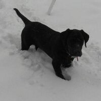 Geogging (@annharri) Twitter profile photo