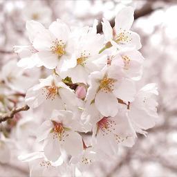 友達にすすめられてはじめてみました。