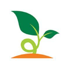 growplant's profile picture. Cultivo Indoor, Hidroponia e Cultivo Orgânico