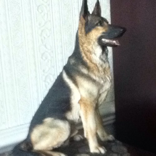 hggeeson's profile picture. 