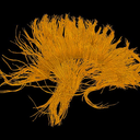 Dan Leopold - @daLEODRome - Twitter