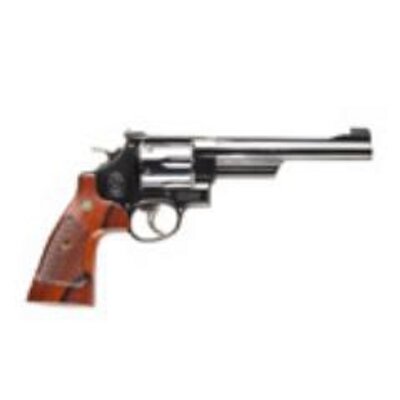 PistolsBack_'s profile image