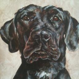 paima's profile picture. 