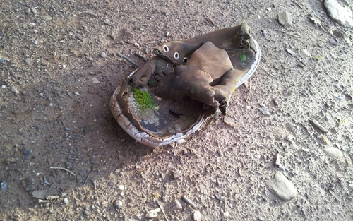 paradaNmicamino's profile picture. ¿Que porqué escribo? Porque me gusta sacar el sentimiento que quiero, a las personas que me leen porque quieren sentirlo.