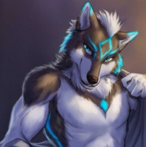 Joelwolf12's profile picture. Im joel im magic