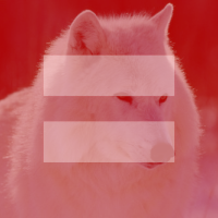 CosmicShewolf's profile picture. Colours and drawing lines. Music and movies. Egon Schiele. Spicy indian food. LGBT