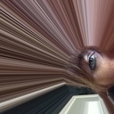 Debra Morrison - @DebraMorrison64 - Twitter