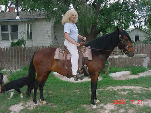 I raise Paso Fino horses & am a  born again Christian.