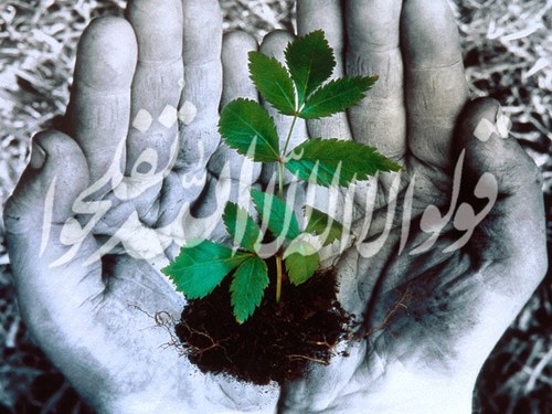 ‏‏‏‏ ‏قال ﷺ ( ماتصدق الناس بصدقة مثل علم ينشر ) حساب صدقة جارية لي ولوالديَّ وللمسلمين.. ساهم في نشر التغريدات والشكر موصول مقدماً