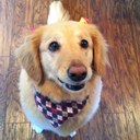 mary lowther - @mlow212 - Twitter