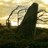 ChaoticWanderer's profile image