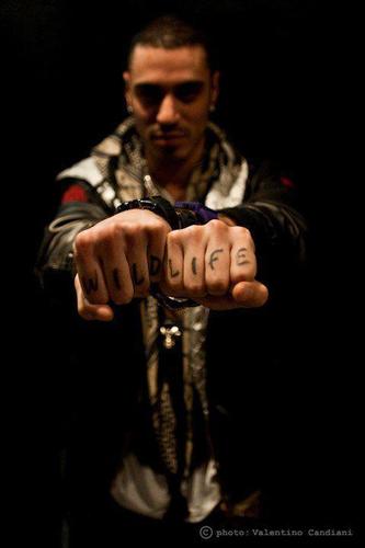 La figa è il sacco a pelo del cazzo mi ha detto un vecchio, dall'ora in scimmia col campeggio sono un lupetto.
-Marracash-