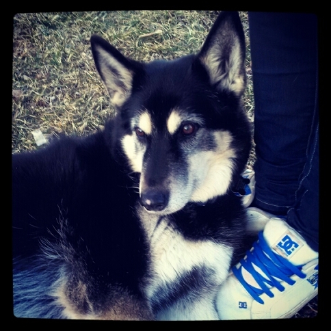 WesleyStever's profile picture. 