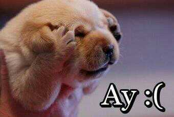 Maaariily's profile picture. 