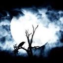 Noah - @Noah_Engel80 - Twitter