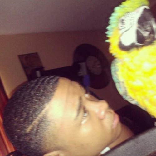 PoloAnd_Hoes Profile Picture