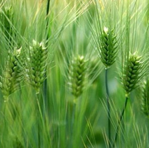 666Tbtb's profile picture. 