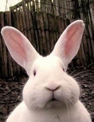 TomichevAlex's profile picture. I am sexy boy