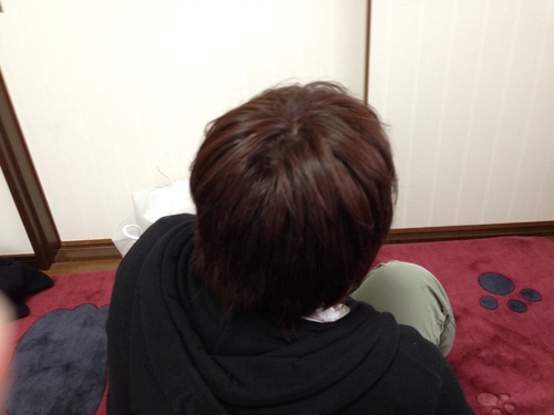 lveilvq's profile picture. 