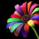 nancy dunsmore - @n101057 - Twitter