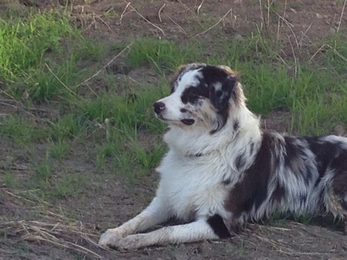 KeithOliver09's profile picture. 