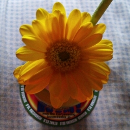 yu_3rd's profile picture. 静岡関係スポーツ全般を40年以上(主にエスパルス＆青い2チーム)応援＆ラジオ好きです。ラジオで拝聴するお名前やサッカー好きな方を見ると、嬉しくなって勝手にフォローあり、失礼します。音楽は永遠のRock小僧を目指してます。ルーツはビートルズとツェッペリンとかぐや姫…雑食です(笑)ミスチルとサザンは一生ついていきます。