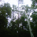 Derrick Owen - @fire828fighter - Twitter