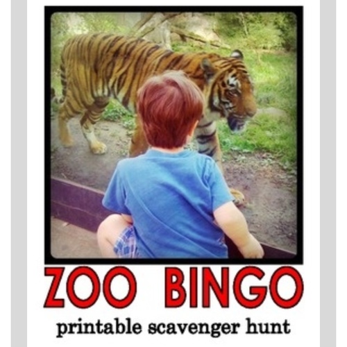 VisitTheZoo's profile picture. We love the zoo and want you to love it too!