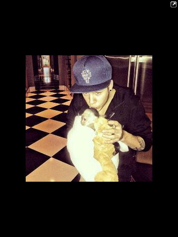 Hey it's OG Mally Bieber  here or in other words Justin Bieber's pet monkey. :)