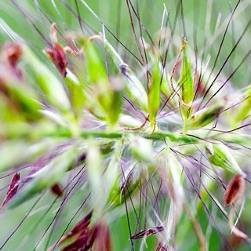 clickfreshapp's profile picture. See @clickfresh instead...