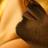camargo_sergio's profile image