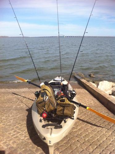 MarisaTheYak's profile picture. Just yakkin' off.