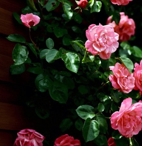 Kathryn77005's profile picture. 