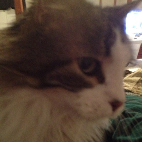 TLOhio's profile picture. 