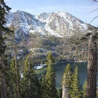 Fuzzbear | BLM (@terrybradley12) 's Twitter Profile