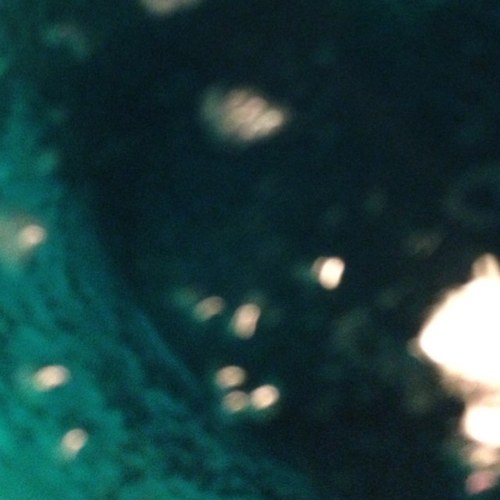 LandyachtzArmy's profile picture. Landyachtz for life. \Landyatchz Army/