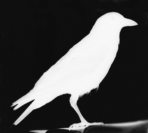 adncuantico's profile picture. Ing. de telecomunicaciones, físico de corazón...divulgador de las ciencias...firme creyente del libre acceso a la información y al conocimiento.