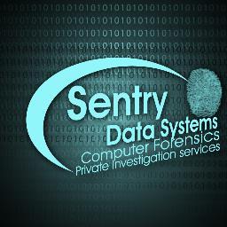 Michigan Licensed Private Investigator Specializing in Computer Forensics