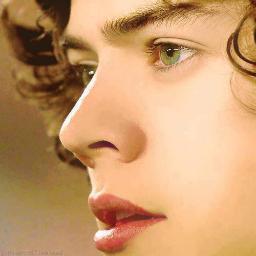 maciel_1D's profile picture. 