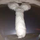 Aaronisgayerthanaids - @CharlesDaly1 - Twitter