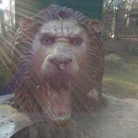 Sumedh S Bhogle (@sumedhbhogle) 's Twitter Profile