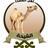 alshe7ah's profile image