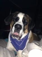 HwksfanStylin's profile picture. Blackhawks, Cubs, Bears fan.
Sarcastic jerk.