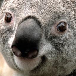 techsnew's profile picture. 