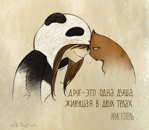 Истории о коте по имени Барсик и о Девочке-Панде.