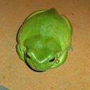 Sue Goodwin - @flooze2 - Twitter