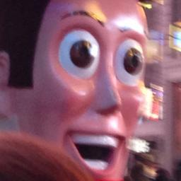 simonwang12's profile picture. chlorophyll more like borophyll